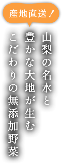 山梨の名水と豊かな大地が生むこだわりの無添加野菜